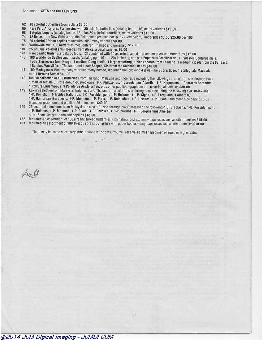 The Butterfly Company (NY) 20 page catalog 1978